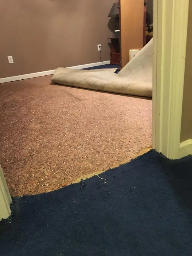 Carpet pad removal revealing water damage during Water Mitigation Services in Carlisle